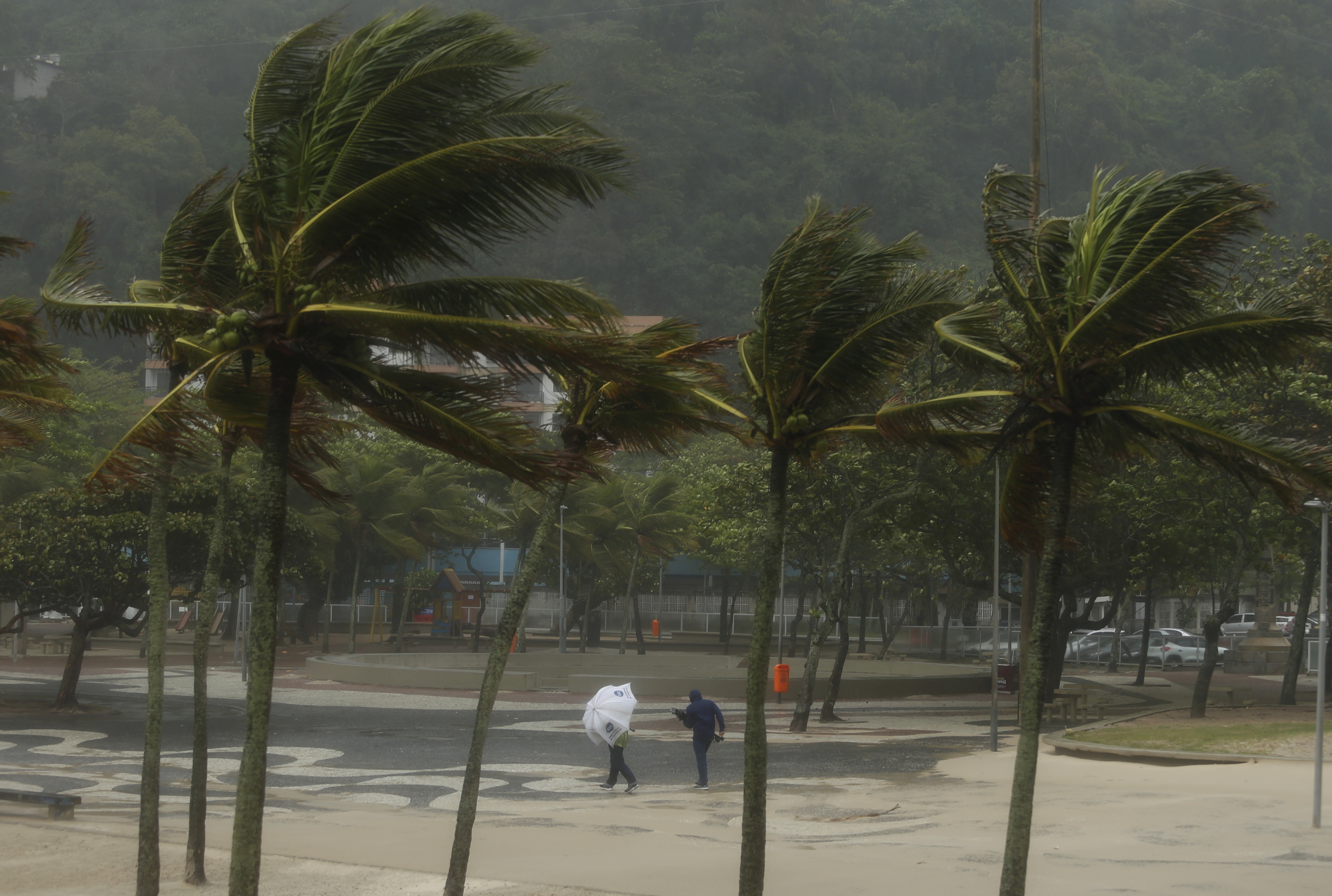 Defesa Civil emite alerta severo para ventos fortes no Rio de Janeiro