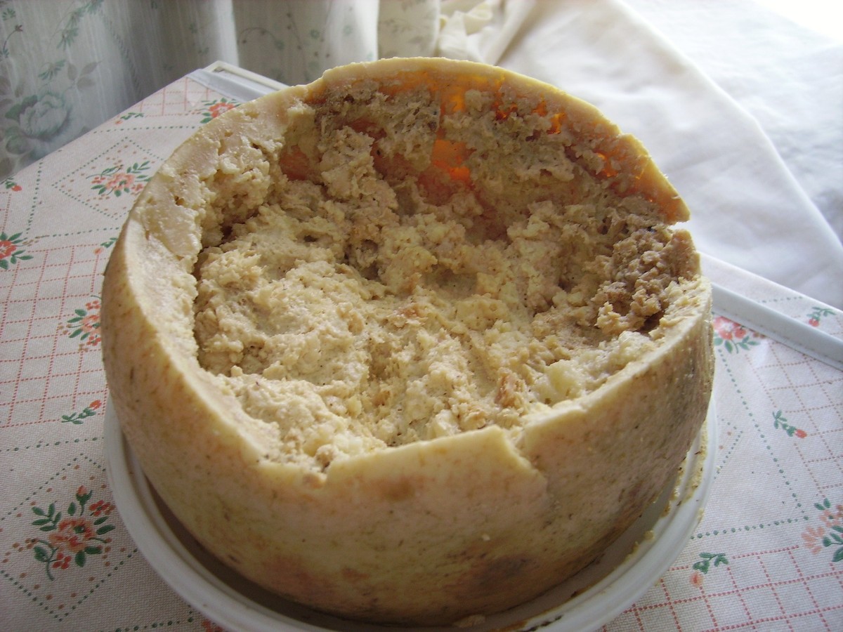 Casu Marzu: o queijo com larvas vivas proibido até em seu país de origem
