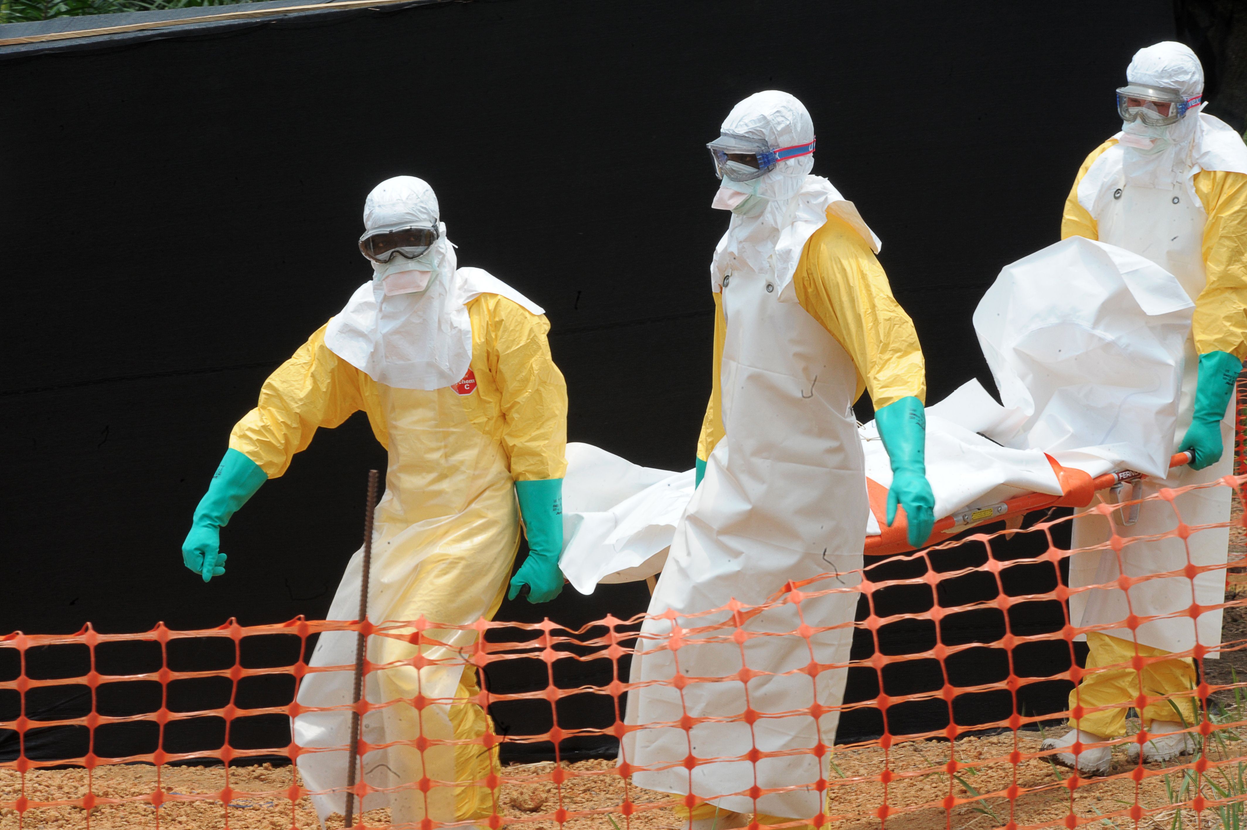 OMS convoca reunião de emergência sobre surto de Ebola com 131 mortes na África