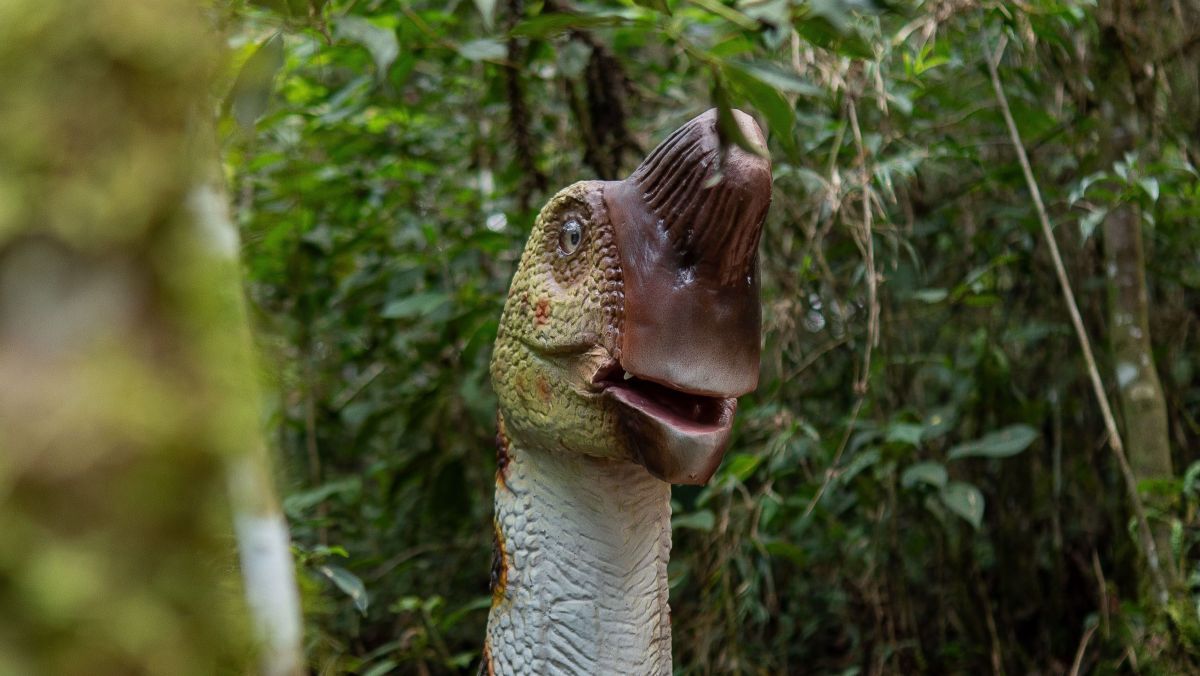 Campos do Jordão receberá parque de dinossauros com investimento de R$ 50 milhões