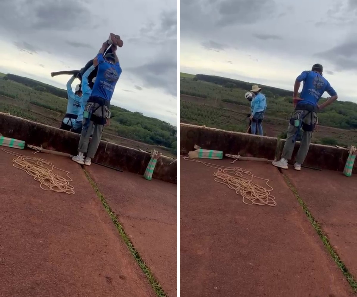 Morte em rope jump: especialistas questionam tese de dolo eventual da polícia
