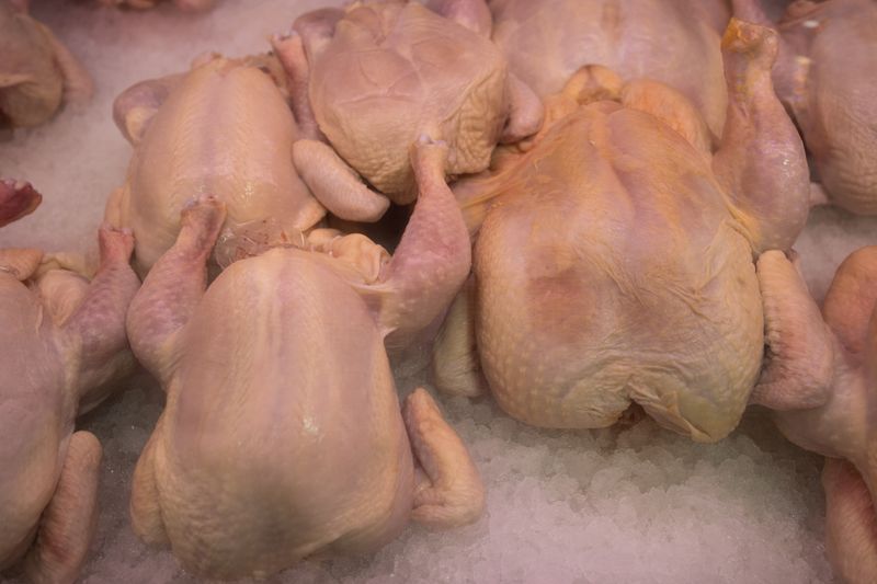 Exportação de frango bate recorde e atinge US$ 5,7 bilhões no 1º semestre de 2026