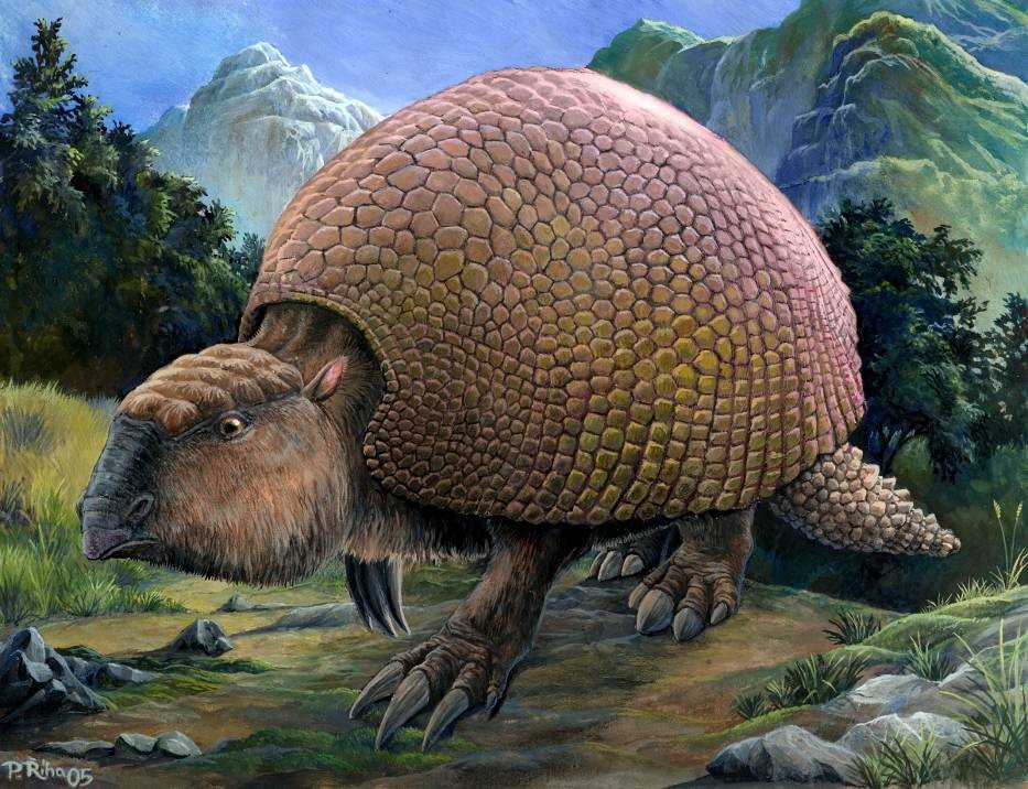 Fóssil de 'tatu gigante' de 1 tonelada é achado na Patagônia Argentina