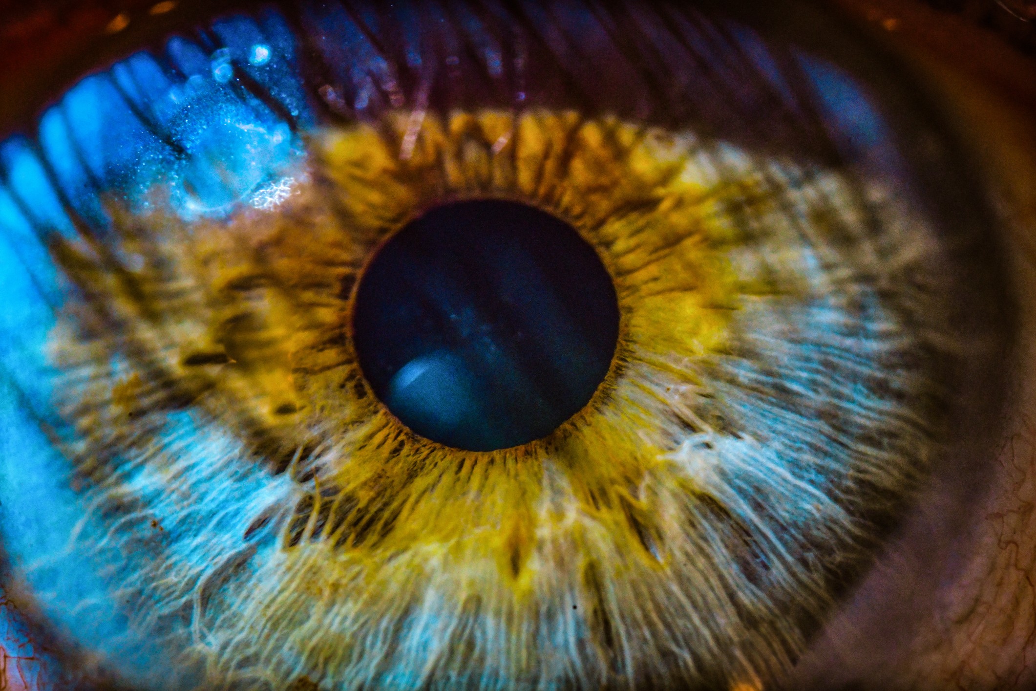 Avanço contra a cegueira: Cientistas criam células da retina em laboratório