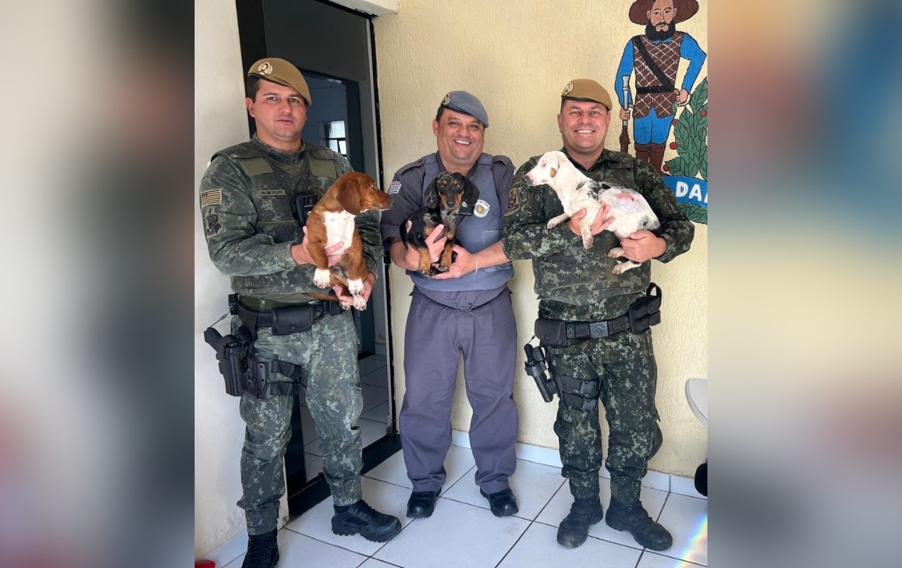 Polícia Ambiental resgata três filhotes de cães abandonados em estrada no interior de SP