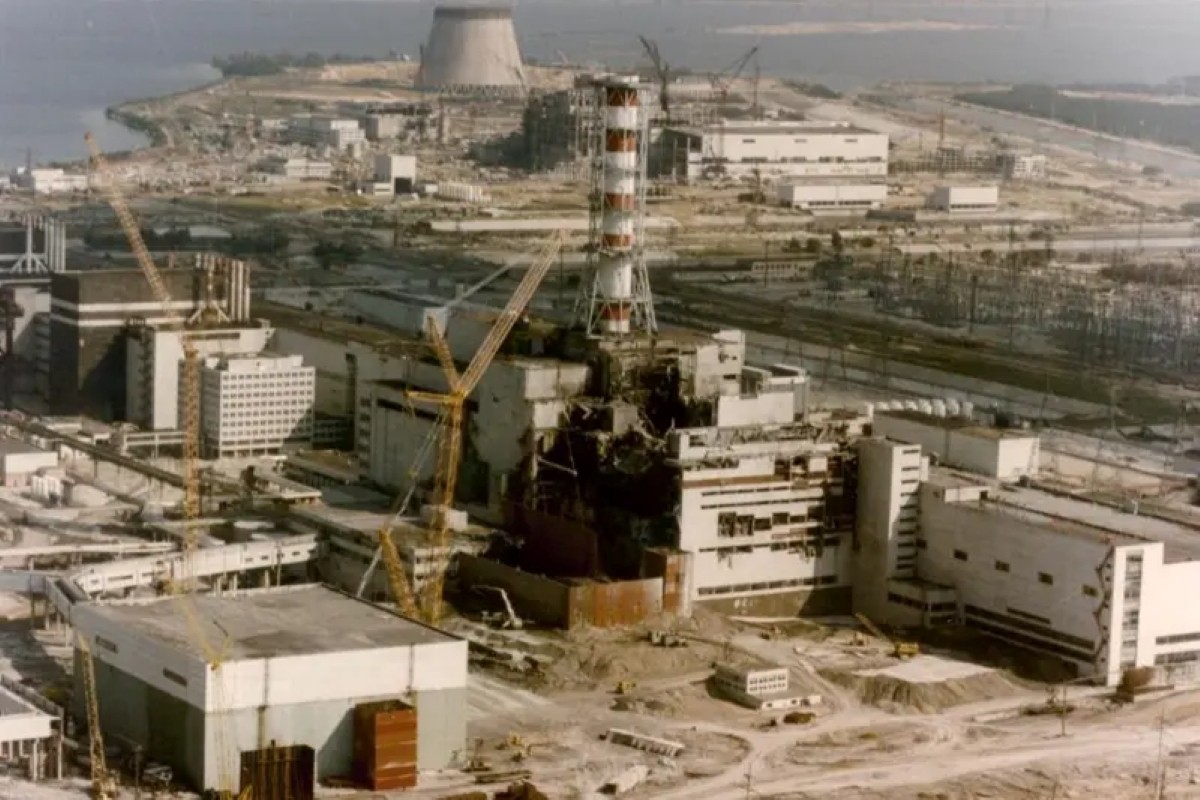 Chernobyl, 38 anos depois: radiação acelera evolução e causa mutações em animais