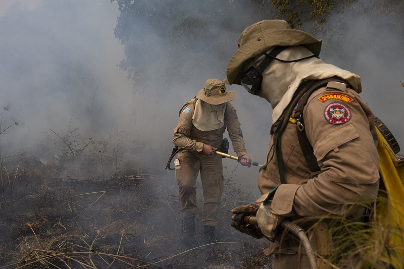 STF dá prazo de 30 dias para estados corrigirem planos contra incêndios