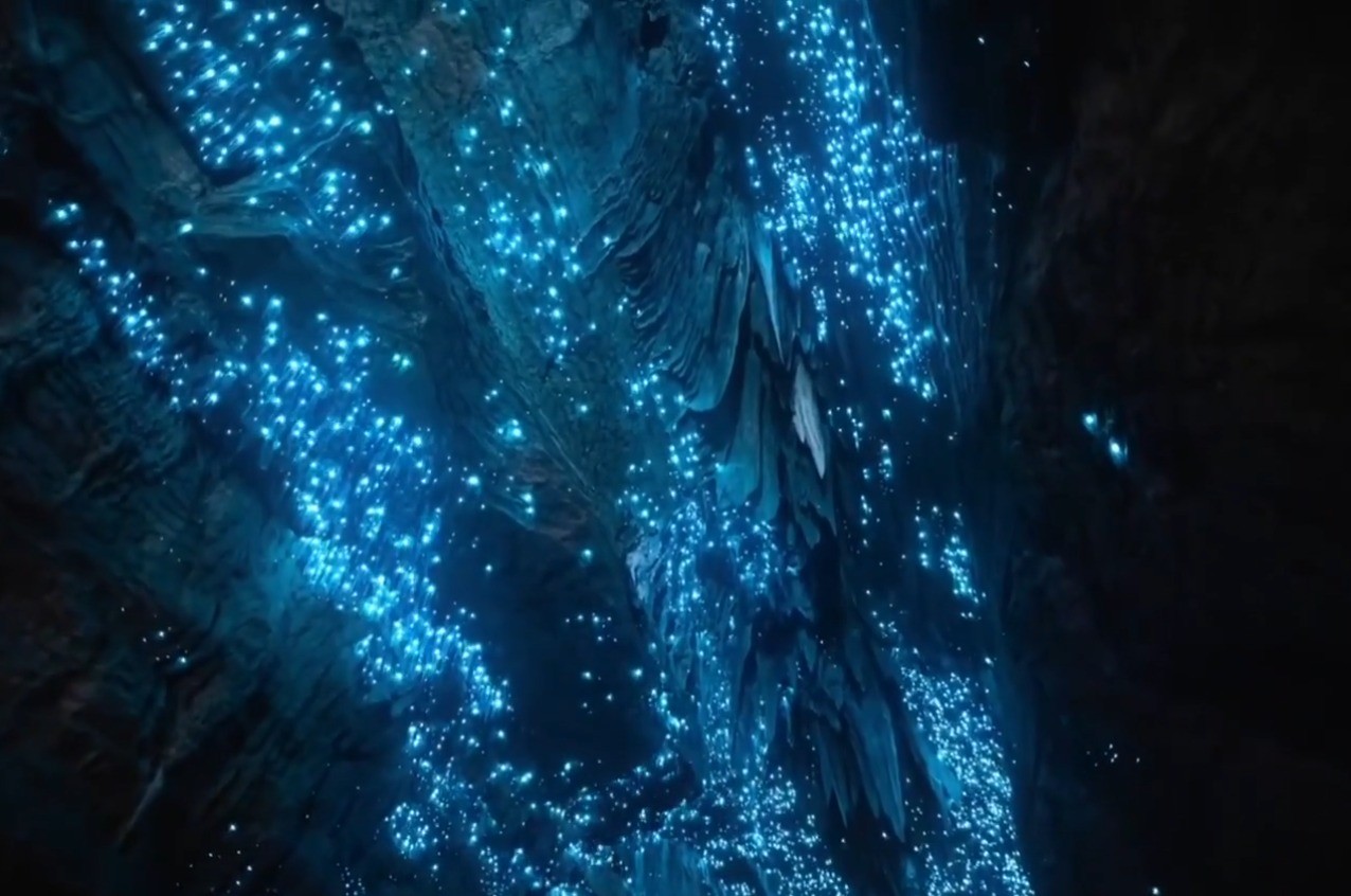 Nova Zelândia: Cavernas são iluminadas por 'céu estrelado' de larvas