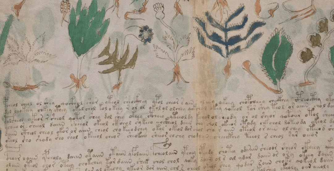 Manuscrito medieval de língua desconhecida desafia inteligência artificial e especialistas