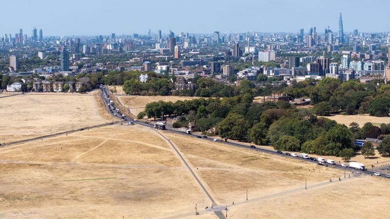 Onda de calor extremo causou mais de 50.000 mortes em cidades europeias, aponta estudo
