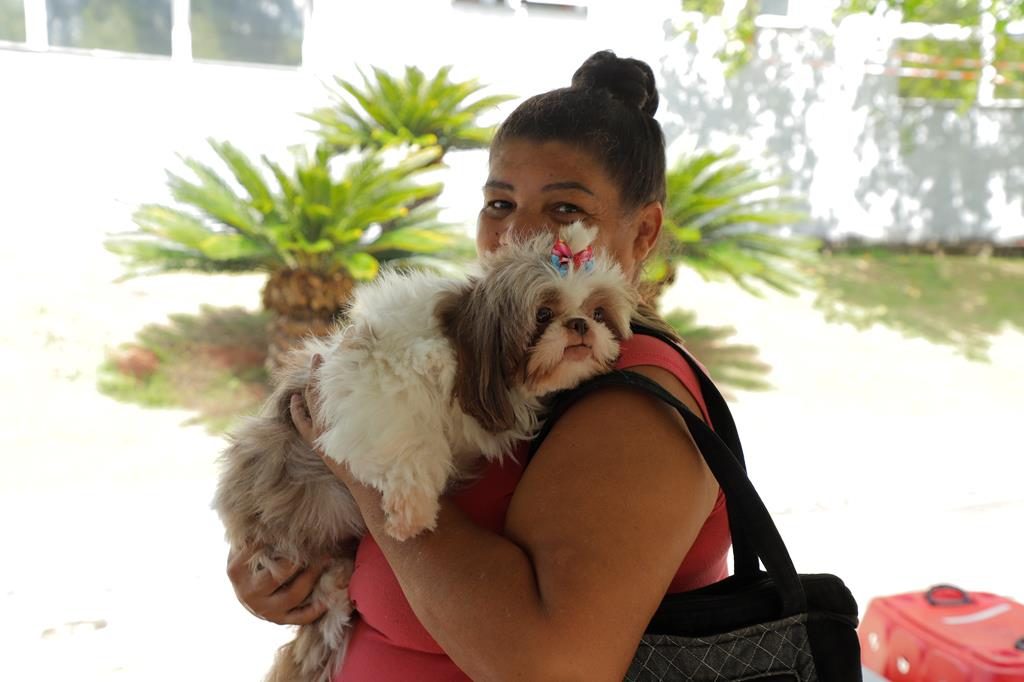 Barueri abre agendamento para castração gratuita de cães e gatos em 6 de maio