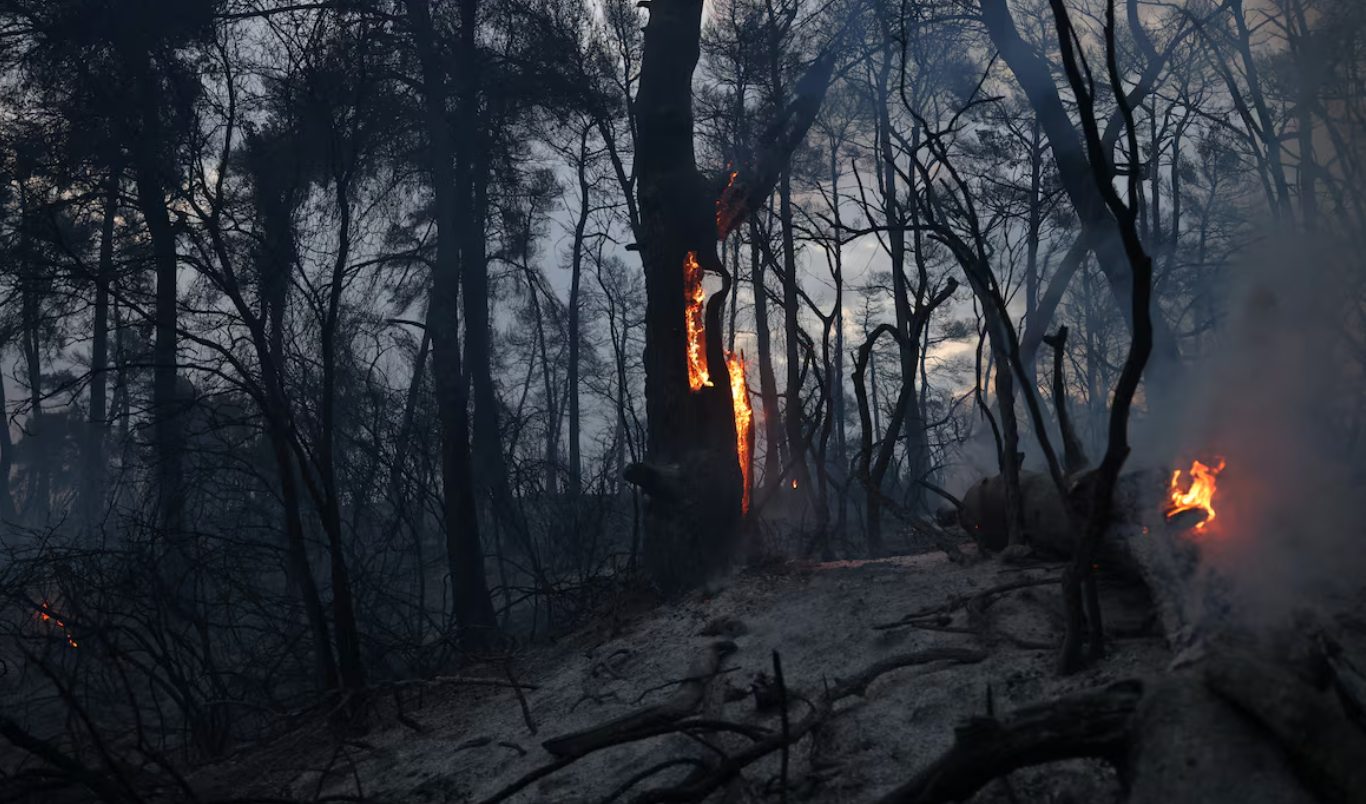 Incêndios florestais forçam evacuação de centenas de pessoas na Croácia e Grécia