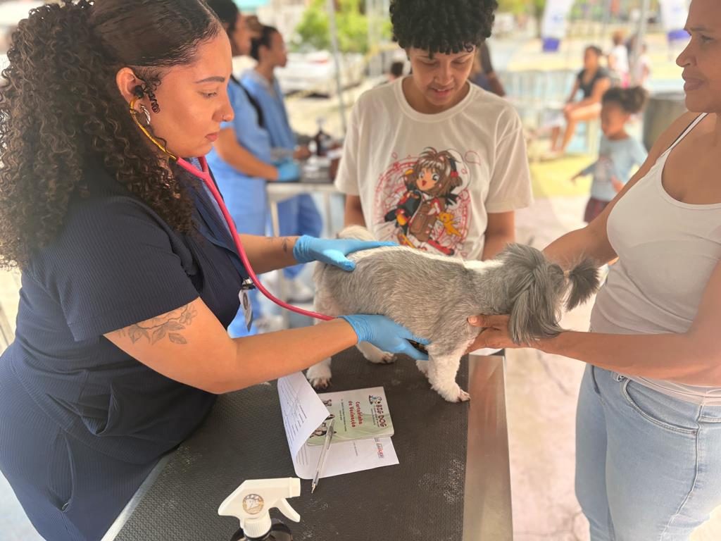 Prefeitura de Barueri oferece atendimento veterinário gratuito nos bairros