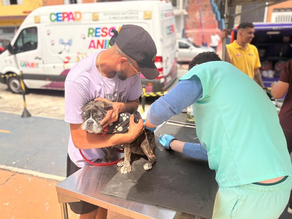 Barueri oferece atendimento veterinário gratuito no Jardim Paulista neste sábado (17)